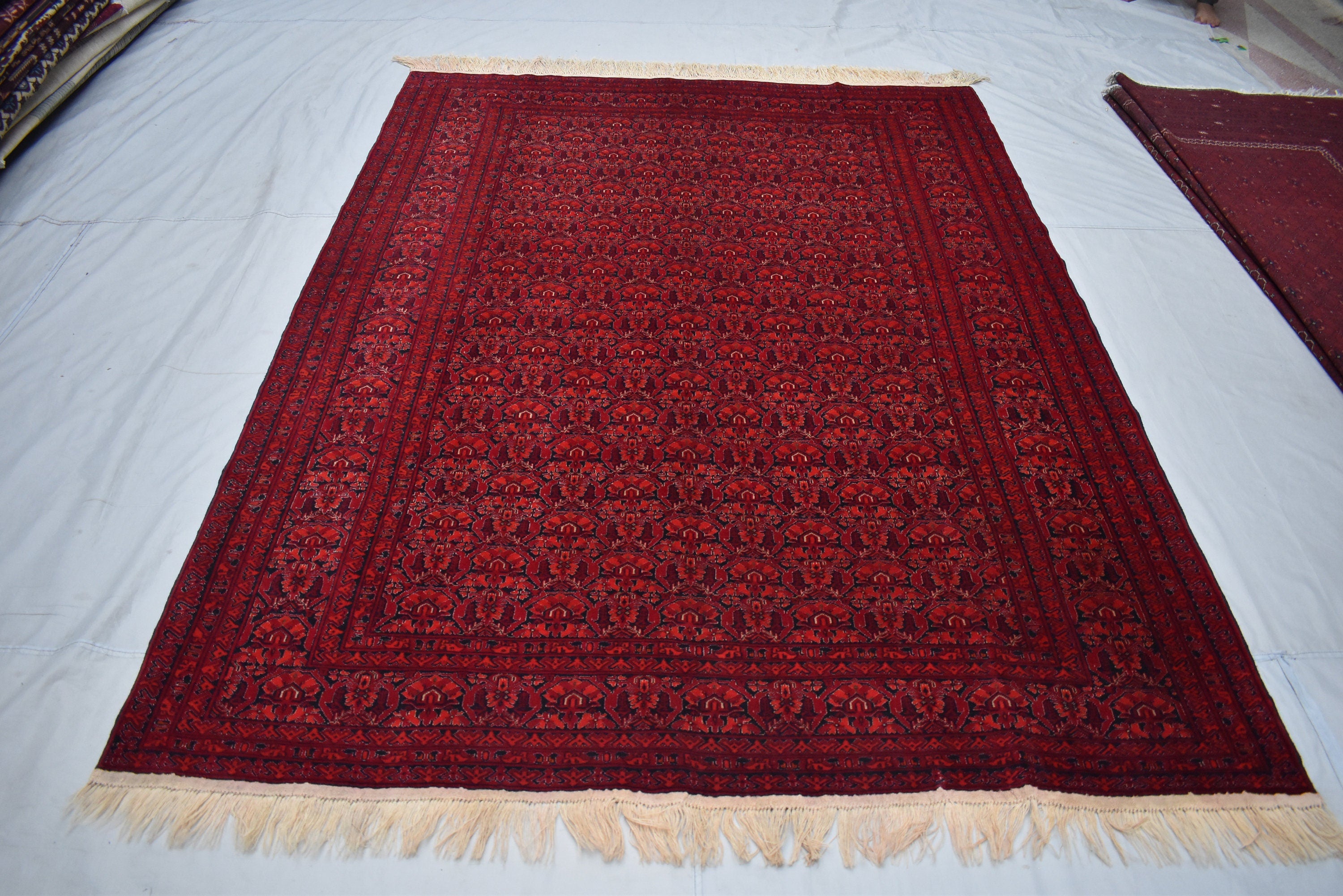 10x12Ft, Handmade Tribal Wool Rug – Hand-Knotted Flat Weave Marchak Gul Area Carpet, Boho Bedroom Rug, Large Wool Floor Decor 364x296cm