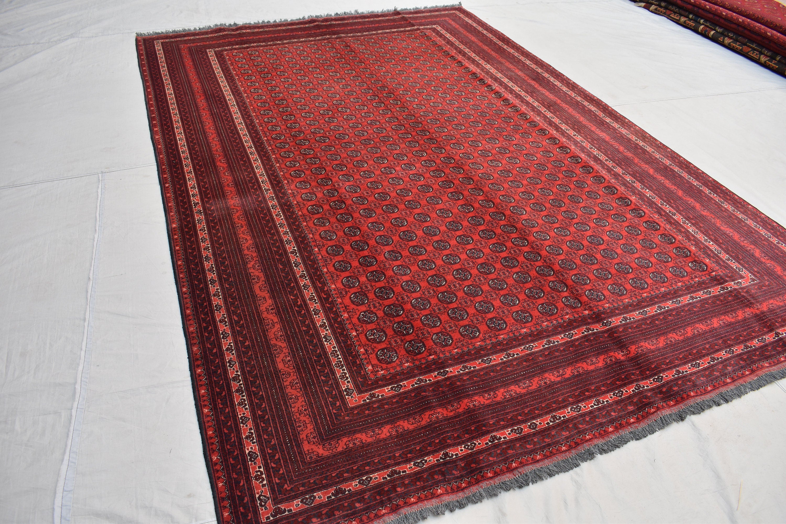 7x10 Hoja Roshnai Hand knotted Area Rug, Afghan Traditional Rug, Oriental Rug, Rug for Living Room, Bedroom Rug, soft and Rich Red 9.9x6.6 f