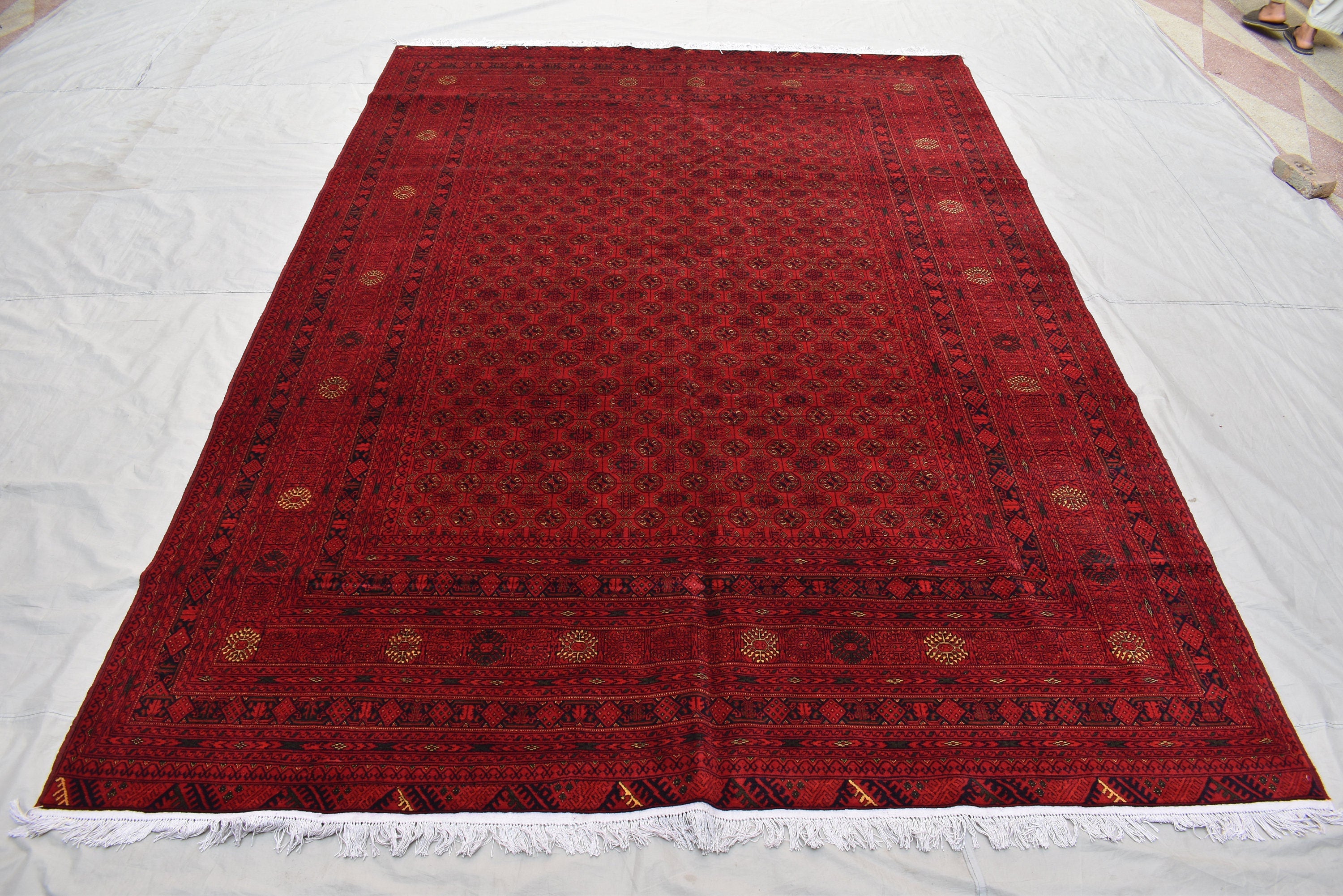 8x12Ft Large Area Rug, Afghan Tribal Handwoven Shirin Takab Rug, Turkmen Wool Area Rug, Rug for living room, Wedding gift for newly weds