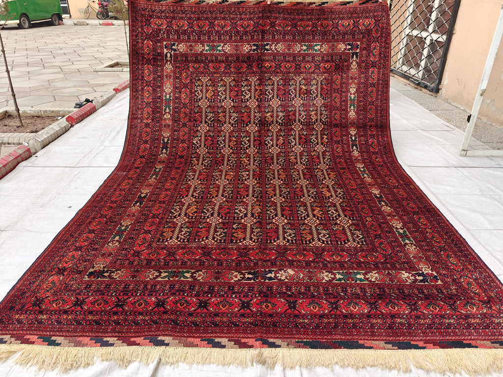 7x10 Stunning Beljik Ala Bakhmal Afghan Handmade Rug, Rug For Living Room, Bedroom Rug, Office and Dining Room Rug, Medium Rug