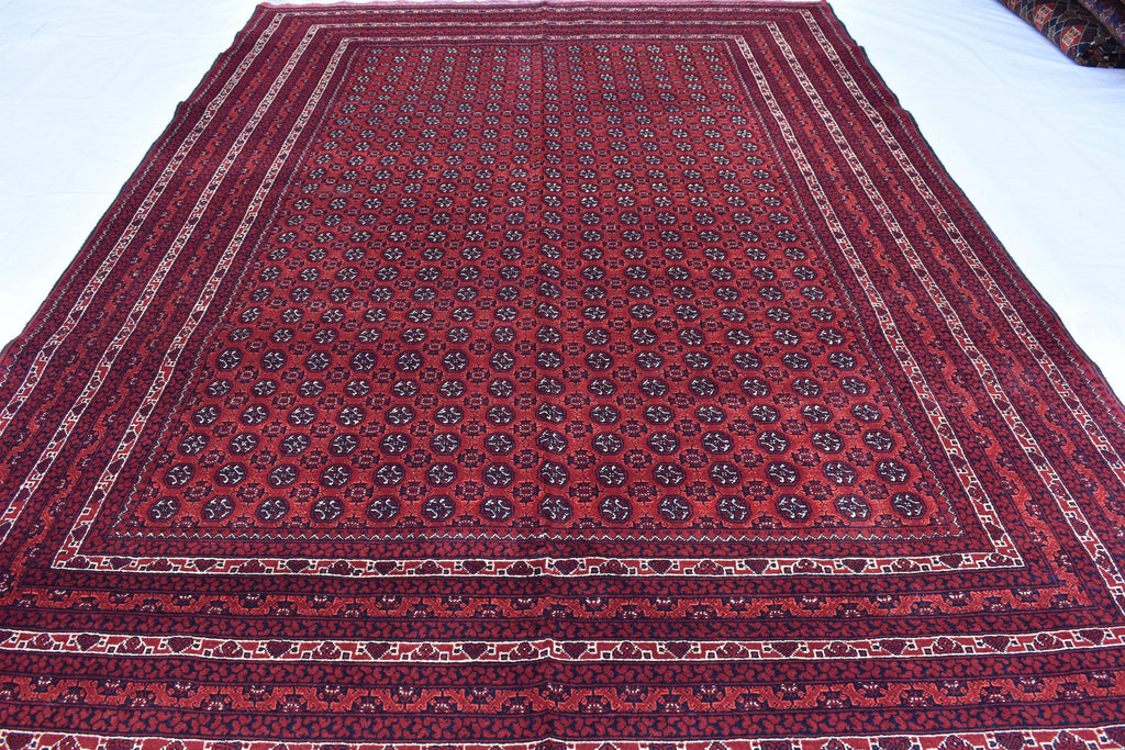 10x6 Hoja Roshnai Rug – Handmade Persian Beauty – Perfect for Large Spaces, Living Rooms – Luxurious Wool, Free Shipping