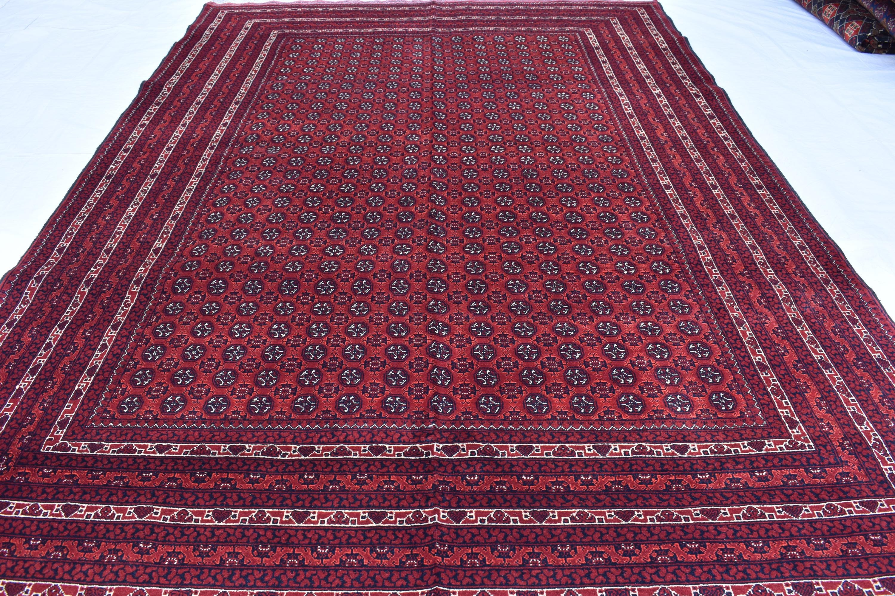 10x6 Hoja Roshnai Rug – Handmade Persian Beauty – Perfect for Large Spaces, Living Rooms – Luxurious Wool, Free Shipping