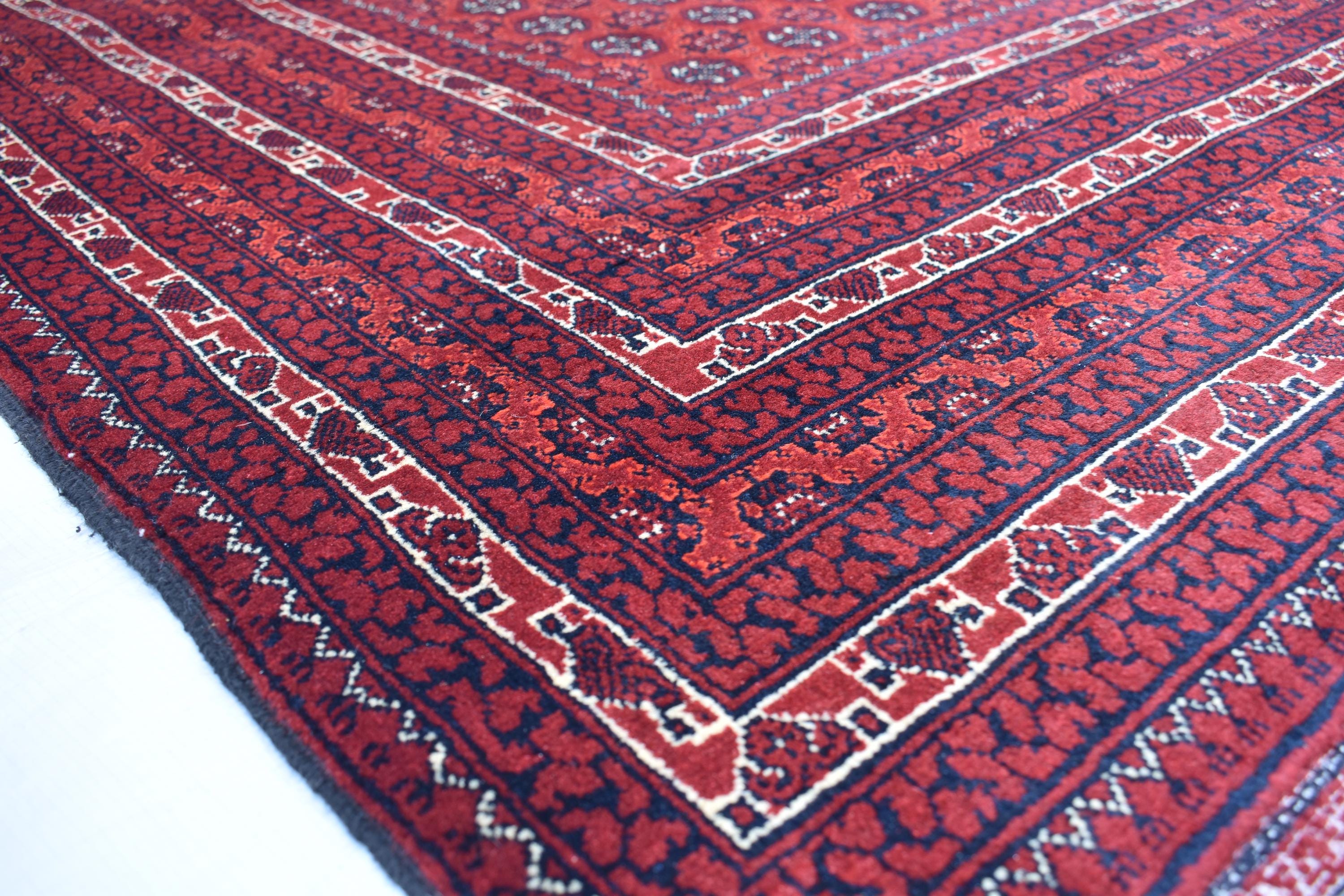 10x6 Hoja Roshnai Rug – Handmade Persian Beauty – Perfect for Large Spaces, Living Rooms – Luxurious Wool, Free Shipping