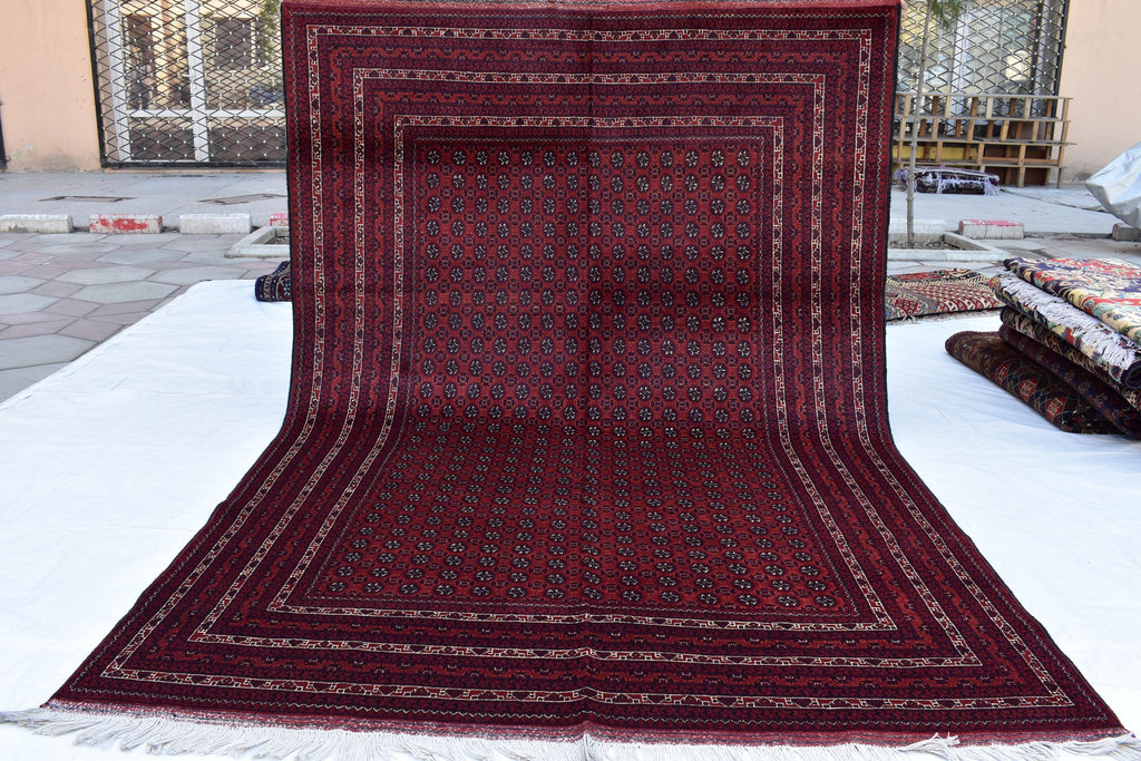 10x6 Hoja Roshnai Rug – Handmade Persian Beauty – Perfect for Large Spaces, Living Rooms – Luxurious Wool, Free Shipping