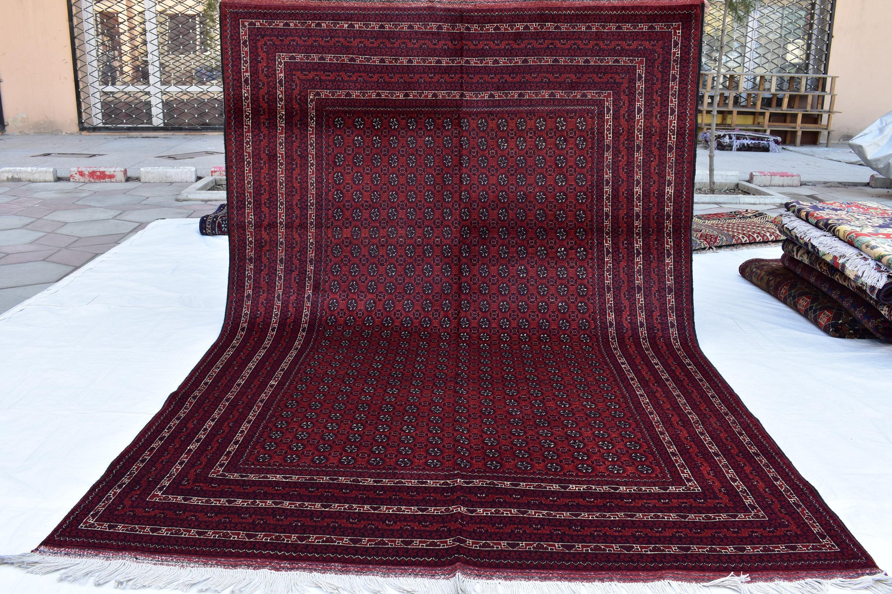 10x6 Hoja Roshnai Rug – Handmade Persian Beauty – Perfect for Large Spaces, Living Rooms – Luxurious Wool, Free Shipping