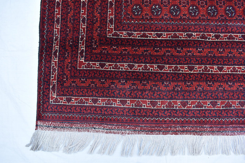 10x6 Hoja Roshnai Rug – Handmade Persian Beauty – Perfect for Large Spaces, Living Rooms – Luxurious Wool, Free Shipping