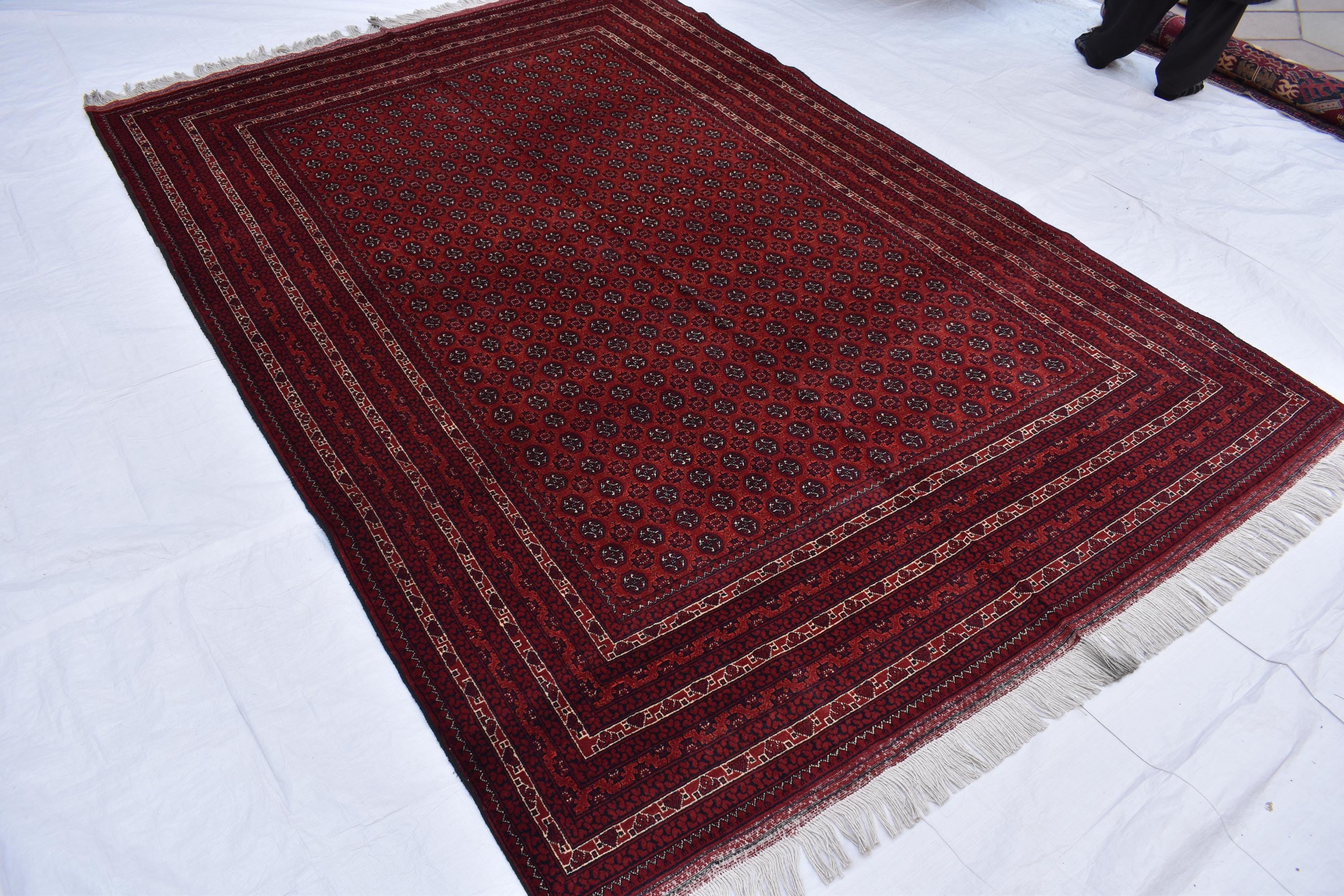 10x6 Hoja Roshnai Rug – Handmade Persian Beauty – Perfect for Large Spaces, Living Rooms – Luxurious Wool, Free Shipping